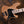 Sandberg California TM SL 