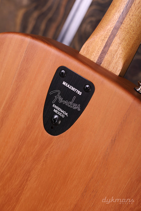 Fender Highway Dreadnought Mahogany