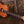 Fender Highway Dreadnought Mahogany