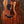 Taylor 724ce PRE-OWNED