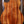 Taylor 724ce PRE-OWNED