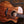 Taylor 724ce PRE-OWNED