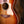 Taylor Ben Harper Gold Label 512e Special Edition