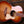 Taylor Ben Harper Gold Label 512e Special Edition