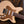 Eastman Fullertone DC'62 Desert Sand