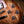 PRS McCarty 594 Private Stock Spalted Maple