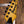 Ibanez PGM1000TACB Japan Custom Shop Paul Gilbert Signature