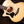 Taylor 314ce V-Class (Left Handed)