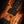 PRS McCarty 594 Private Stock Spalted Maple