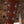 Martin Custom Shop Cherry Hill D-14
