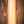 Suhr Classic T Antique Trans Butterscotch