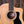 Taylor 150th 12 string