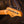 Suhr Classic T Antique Trans Butterscotch