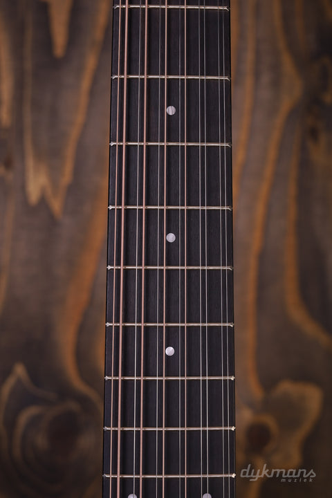 Taylor 150th 12 string