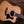 Taylor 150th 12 string