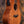 Taylor GS Mini-e Bass Koa