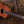 Taylor GS Mini-e Bass Koa