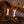PRS Paul's Guitar Yellow Tiger