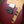 Suhr Andy Wood HH Iron Red RESERVED