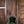 Epiphone SG Classic Worn P-90s Worn Inverness Green