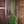 Epiphone SG Classic Worn P-90s Worn Inverness Green