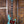 Sandberg California TM 5 Hardcore Aged Roquefort Blue PRE ORDER