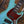 Sandberg California TM 5 Hardcore Aged Roquefort Blue PRE ORDER