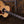 Taylor Gold Label 814e Rosewood Natural