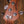 Music Man Stingray 4 Special Hot Honey