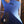 Dingwall D-Roc Standard Blue to Purple Colorshift