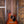 Martin GPCE Inception Maple