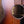 Martin GPCE Inception Maple