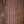 Martin GPCE Inception Maple
