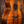 Lakewood M-56 Custom AAAA Koa