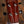 Eastman EU1C Concert ukulele