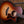 Taylor 314ce LTD 50th Anniversary Builders Edition Kona Burst