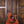 Taylor 50th Anniversary Builder's Edition 814ce