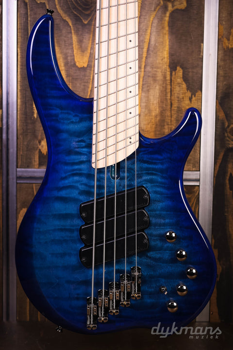 Dingwall Combustion 5-3 Indigo Burst