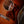 Bourgeois Touchstone The Standard Slope D