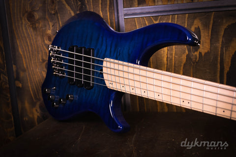 Dingwall Combustion 5-3 Indigo Burst