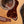 Taylor Gold Label 814th KOA