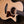 Taylor 314CE Builder's Edition LTD 50th Anniversary
