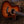 Taylor 414ce Studio SEB
