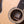 Taylor Legacy Series 815e