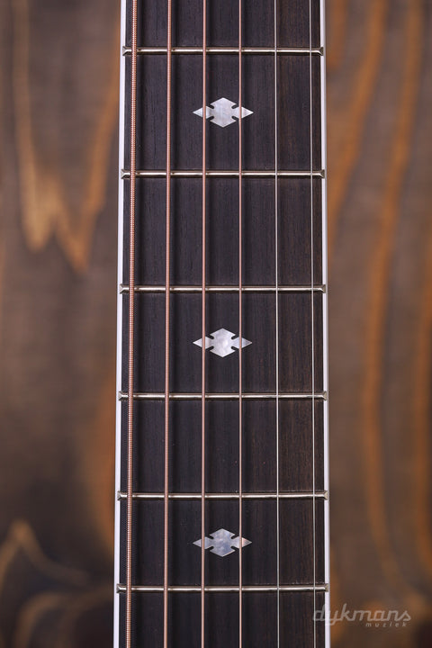 Taylor Legacy Series 815e