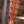 Taylor Legacy Series 815e