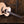Taylor Legacy Series 815e