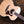 Taylor Legacy Series 815e