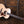 Taylor Legacy Series 855e