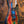 Mayones Regius 7 Buckeye Burl Master Grade Custom Colour